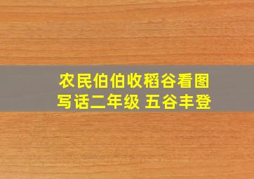 农民伯伯收稻谷看图写话二年级 五谷丰登